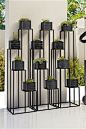Black Metal Plantstand: 