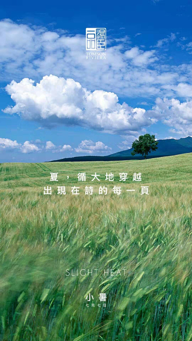 【知识星球：地产重案】小暑 节气海报