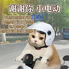 《谢谢你 我的小笨床》 - 小红书