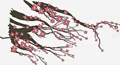 手绘的梅花枝头高清素材 设计图片 免费下载 页面网页 平面电商 创意素材 png素材