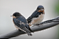 新緑の中で♪（ID：5573280）拡大ページ　- 写真共有サイト:PHOTOHITO