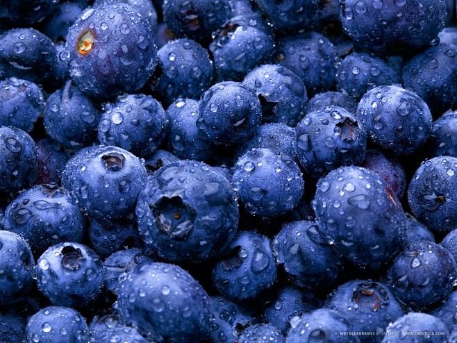 水果食品蓝莓 - 壁纸（#2912253...