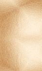 7dbc049f0f6bc692b2bd299cc1ed69d