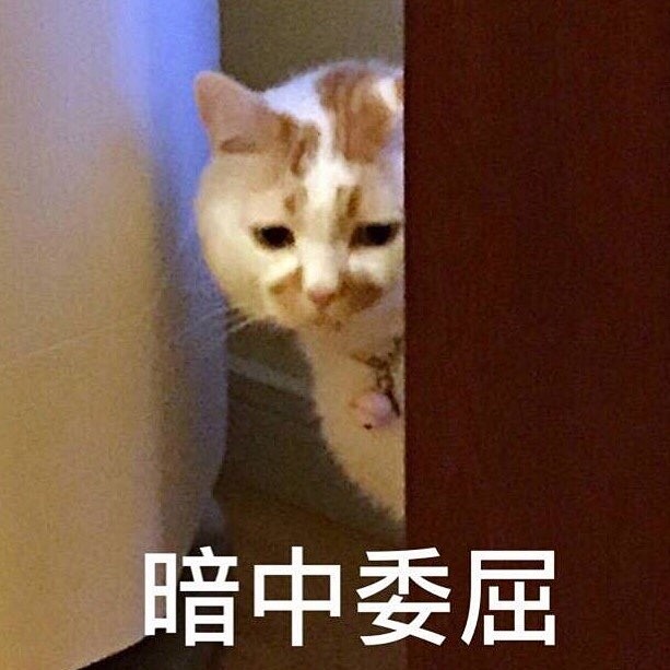 表情包~
