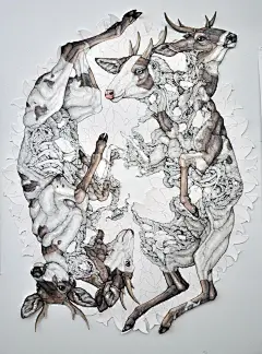 Lauren Marx | 动物插画 - 当代艺术 - CNU视觉联盟