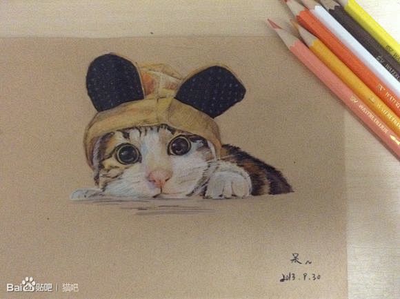 彩铅手绘猫咪，我是第一次画猫_猫吧_百度...