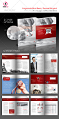 Executive Corporate Brochure Annual Report公司年报手册模板-淘宝网