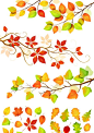 秋季树叶设计（3款）
#素材# #矢量# #枯叶# #枫叶# #枝叶#