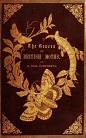 The Genera of British Moths.