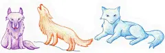简笔画5000例 一本就够（色铅笔卷） - 涂涂猫 编著 - 微信读书