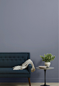 Clare | Interior Paint | Cosmic Vibes