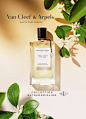 Eau de parfum Néroli Amara Van Cleef & Arpels | Reastars Perfume and Beauty magazine : Nature is both fragile and majestic. Thus, she is a perfect source of inspiration for a jeweler. At Van Cleef & Arpels, she gives birth to innumerable sumptuous