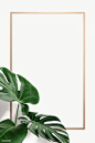 (400) Pinterest