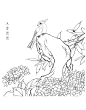 绣球花白描20幅