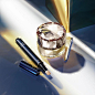Clé de Peau Beauté Official (@cledepeaubeaute)的ins主页 · Tofo · Instagram网页版/好用的ins浏览器 (Lookins.me)