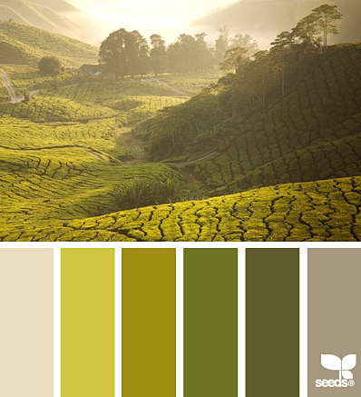Design Seeds® | find...