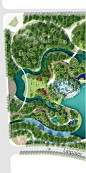 2022小清新现代公园景观彩平psd素材滨水湿地公园规划总平PS素材