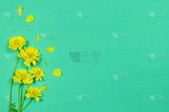 绿色背景上的黄色花朵。春、夏的概念。俯视图，复制空间。
