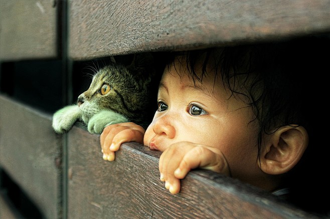 People 2048x1361 cat...