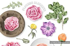 水彩马克笔花卉插画素材 Flower-Marker-Collection-设计元素-@美工云(meigongyun.com)