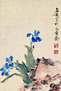 中国风：素心兰香 ​​​​