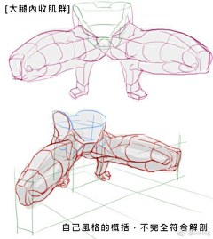 繁星托尔采集到人体fang'k