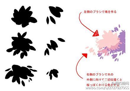 【练习素材】人体素材、动植物素材等_手绘...
