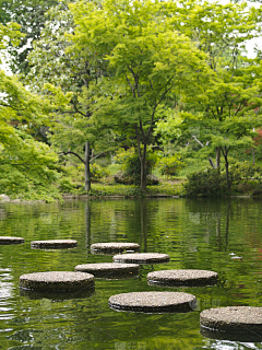 何方草采集到小道