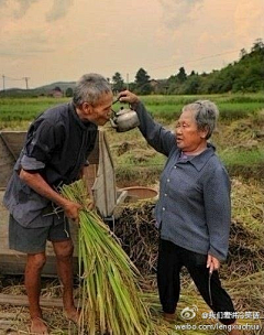 张自鸣采集到荷花