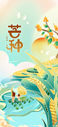 芒种麦穗丰收农忙海报
