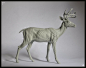Deer Anatomy Study, steve lord : Deer anatomy study, this is a sculpture I did awhile ago. Sculpted in zbrush and traditional, cast in resin. 
https://www.etsy.com/listing/243098072/deer-anatomy-study?ref=shop_home_active_1