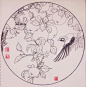 钢笔花卉白描达人叶志军先生的钢笔画分享