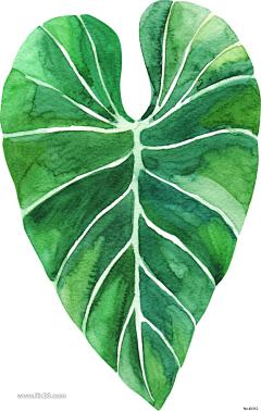 又一支黑色铅笔采集到插画
