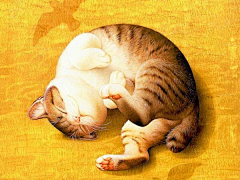 eryu采集到动物 猫 绘画
