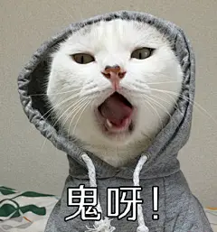 #喵星人小乖##表情包#再发一组表情包吧哈哈... 来自巧克力喵星人在东京打伞 - 微博