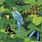 鹦鹉,巨蟒,蝴蝶,矢量,背景,热带雨林,蓝色闪光蝶,大蟒蛇,水蟒,亚马逊地区