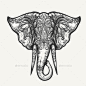 大象头Zentangle插图 - 动物人物