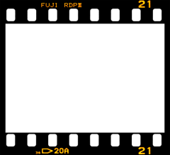 luyieg采集到毛不易