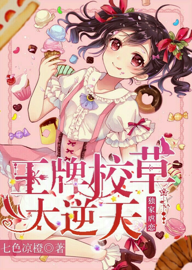 校园小说封面