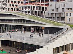 Vegetus采集到学校