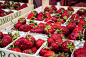 Fresh strawberries in paper boxes