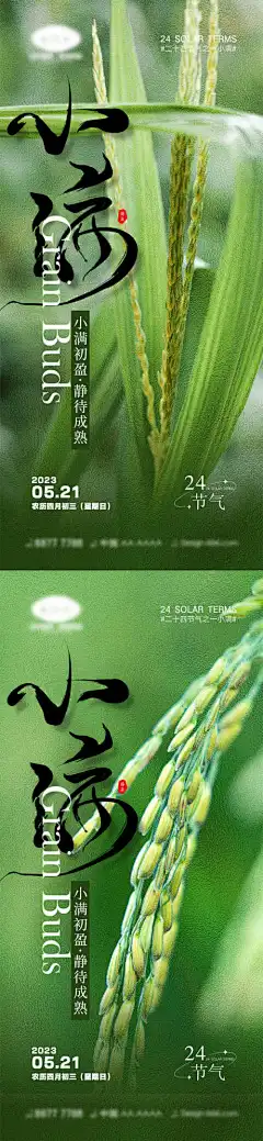 小满节气海报_源文件下载_PSD格式_1000X4328像素-系列,地产,收割,谷物,收获,麦田,劳作,农民,丰收,小麦,芒种,小满,二十四节气,海报-作品编号:2023092315531285-志设-zs9.com