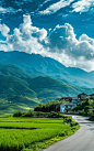 Realistic photo of houses in the distance, green rice fields and blue sky with white clouds in the front view, a mountain range behind the houses, a blurred road in the foreground, green grassland, a sunny day, a cinematic shot, bright colors, high resolu