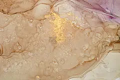 抽象的彩色背景，壁纸。混合丙烯酸涂料。现代艺术。大理石纹理。酒精油墨颜色半透明