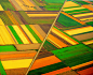 全部尺寸 | Agriculture pattern | Flickr - 相片分享！