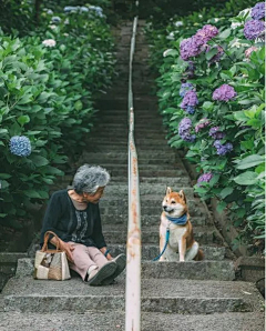 0toutou0采集到人物素材