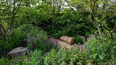 靓馨宝贝采集到C—Chelsea Flower Show