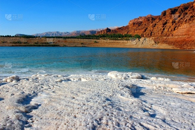 死海,海滩,约旦,泥,水,灵性,沙子,夏天,湖,棕榈树