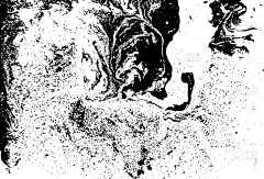 水彩画,液体,纹理,黑白图片,白色,黑色,大理石装饰效果,华丽的,湿,创造力