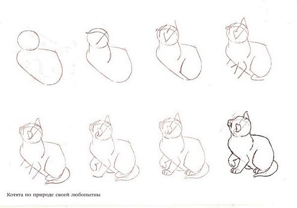 猫的画法-人人探索explore—人人网